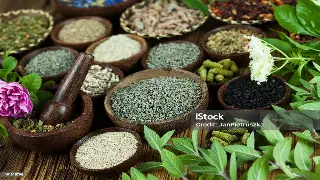 南宁探店：这家按摩店的环境也太治愈了吧！躺着就能放松一整天！