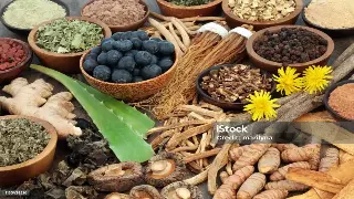 告别传统桑拿房：南宁新型桑拿设备，让你在家也能享受极致SPA！